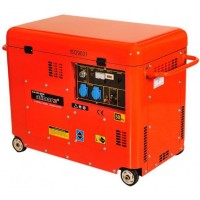 Дизельний генератор Alimar ALM-DS-10000ME